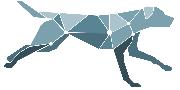 Sirius Veterinary Orthopedic Center Logo